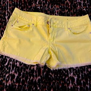 Size 14 AE cut off shorts